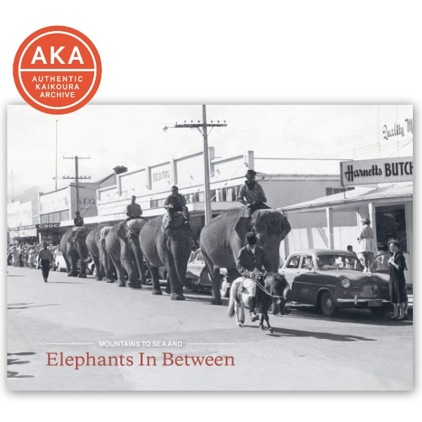 Vintage black and white photograph of a parade of elephants walking down a town street lined with storefronts and 1950s automobiles, from the Mountains to Sea and Elephants in Between exhibition at Kaikōura Museum.