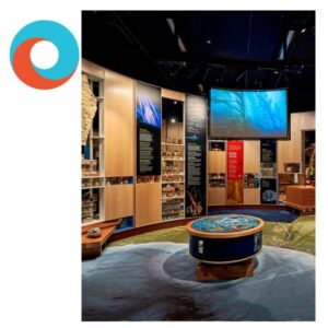 Museum exhibit gallery at Kaikōura Museum featuring interactive displays, wooden storage cabinets, a circular floor exhibit with blue inlay, and an overhead screen showing underwater imagery.
